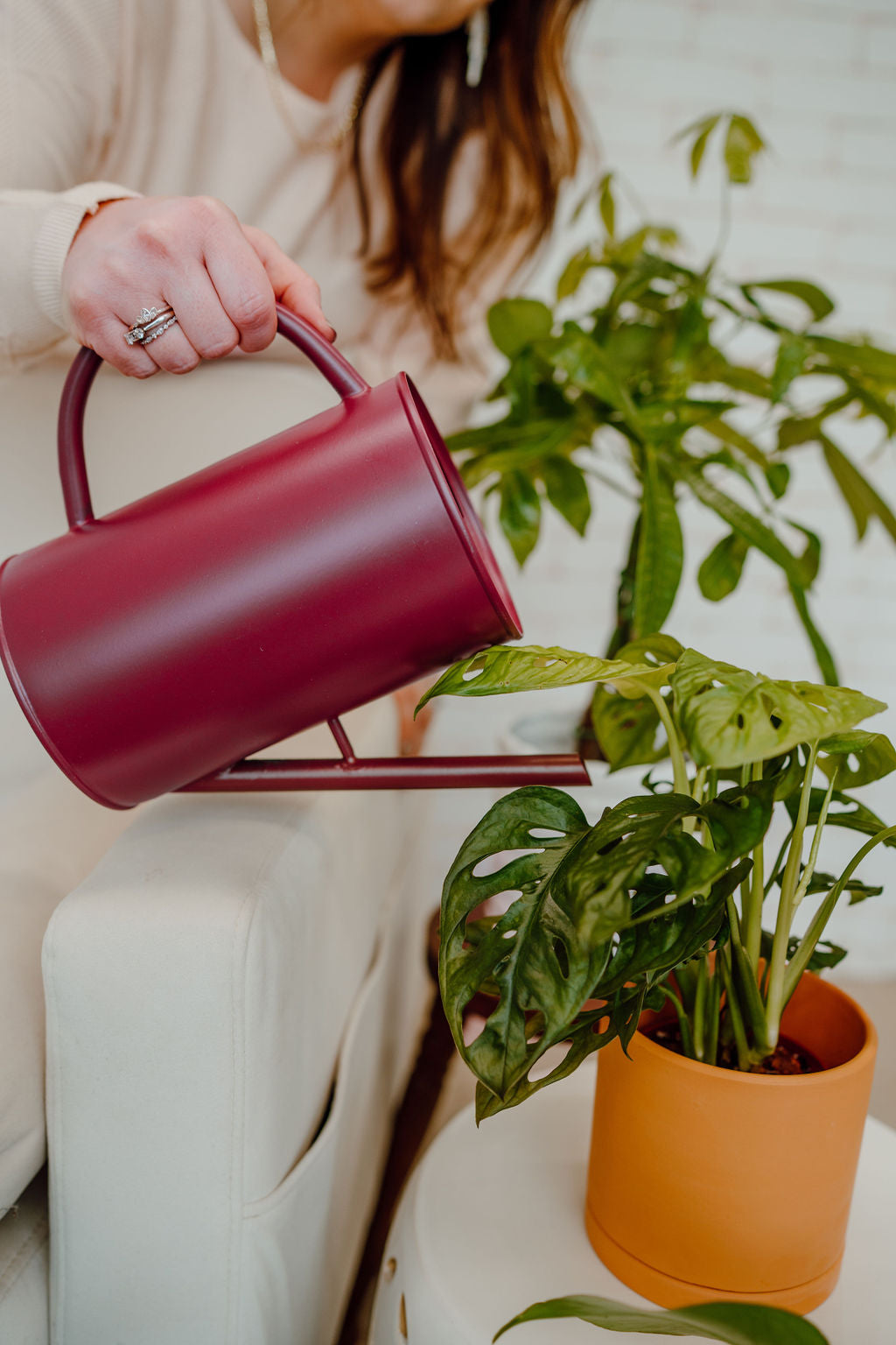 woman planting low maintenance houseplants