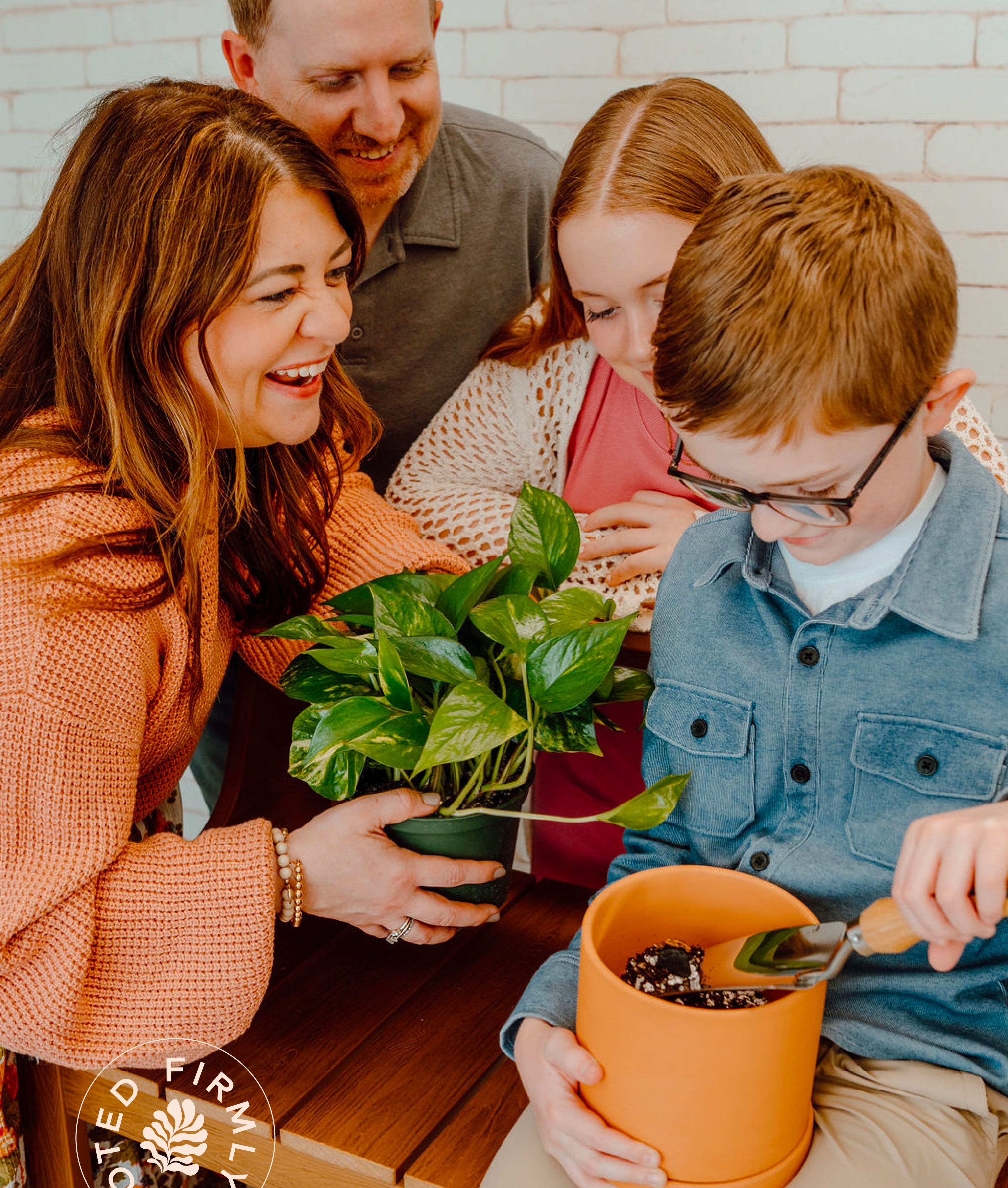 Family planting low maintenance houseplants