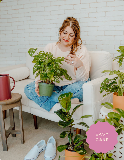 Woman holding easy-care house plant
